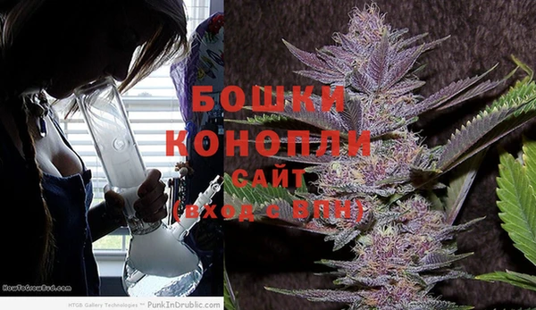 крисы Беломорск